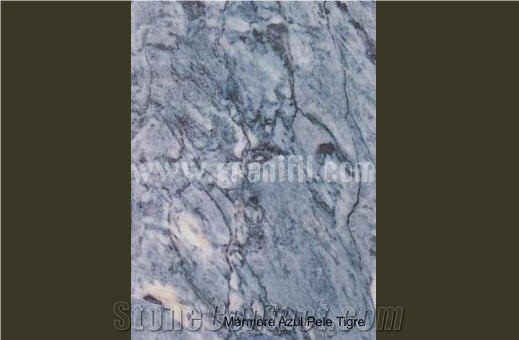 Marmore Azuli De Pele Tiger Marble Tile,blue Marble