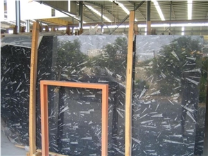 Fossil Black Limestone Slabs, Morocco Black Limestone