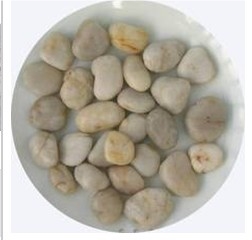 White Pebble Stone White Pebble Stone