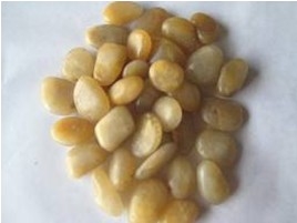 Yellow Natural Pebble