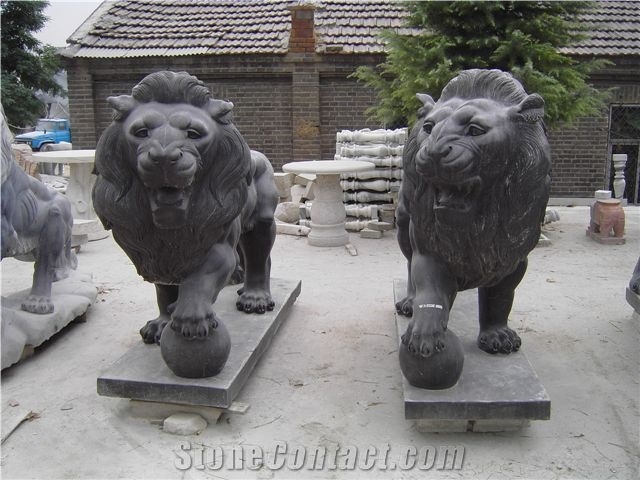 Western Lion