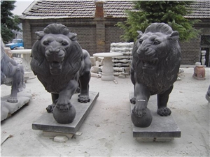 Western Lion