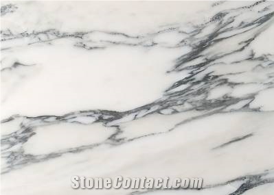 Arabescato Corchia Marble Slabs & Tiles,Italy White Marble
