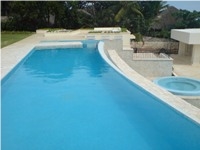 Coral Stone Pool Coping