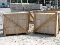 Coral Stone Pool Coping