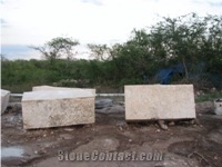 Coral Stone Special Blocks, Dominican Republic Beige Limestone