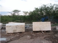 Coral Stone Special Blocks, Dominican Republic Beige Limestone