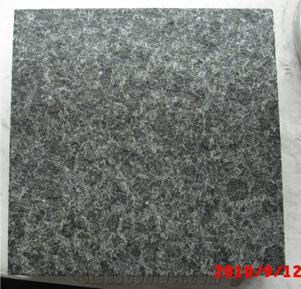 Black Basalt 30.5x30.5x1.2cm - $16.4m2