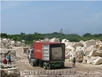 Coralina Limestone Block, Dominican Republic White Limestone