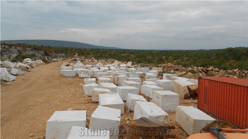 Giallo Dalmacia Limestone Block, Croatia Beige Limestone