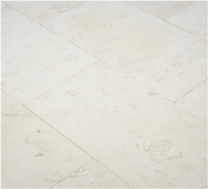 Corinthian Fossil Limestone Tiles,Turkey Beige Limestone