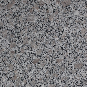 Pearl Flower Granite Tile,China Red Granite
