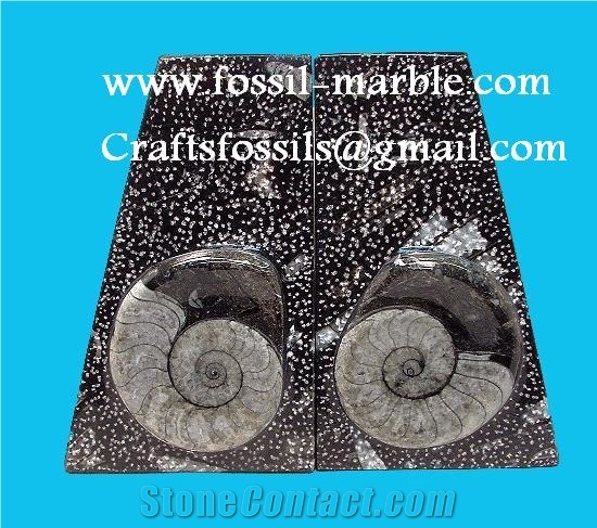 Bookends Fossilized Stone Morocco, Black Marble Home Decor