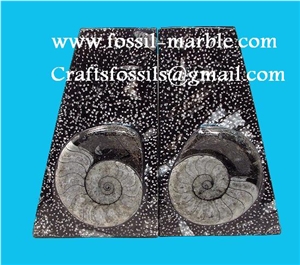 Bookends Fossilized Stone Morocco, Black Marble Home Decor