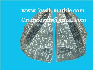 Bookends Fossilized Stone Morocco, Black Marble Home Decor