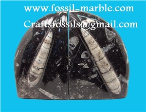 Bookends Fossilized Stone Morocco, Black Marble Home Decor