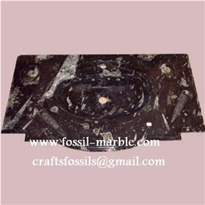 Fossil Black Limestone Sinks