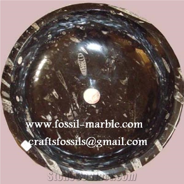 Fossil Black Limestone Sinks