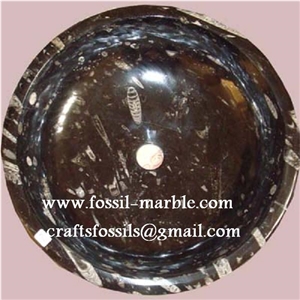 Fossil Black Limestone Sinks