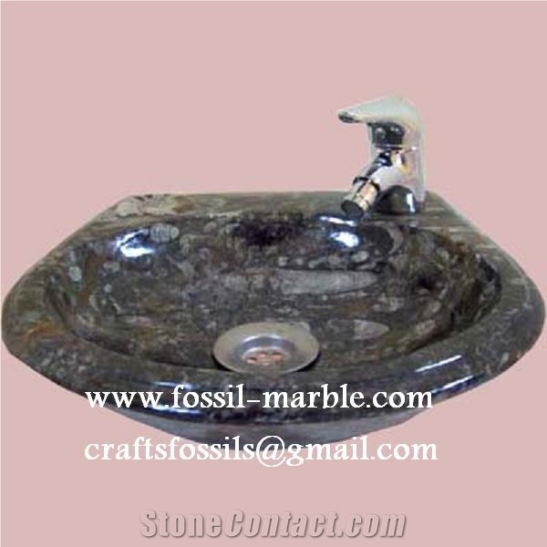 Fossil Black Limestone Sinks