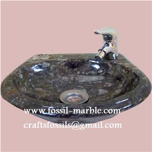 Fossil Black Limestone Sinks