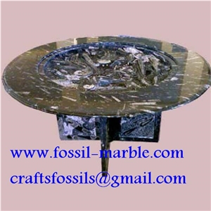 Fossil Liemstone Tables, Brown Marble Tables