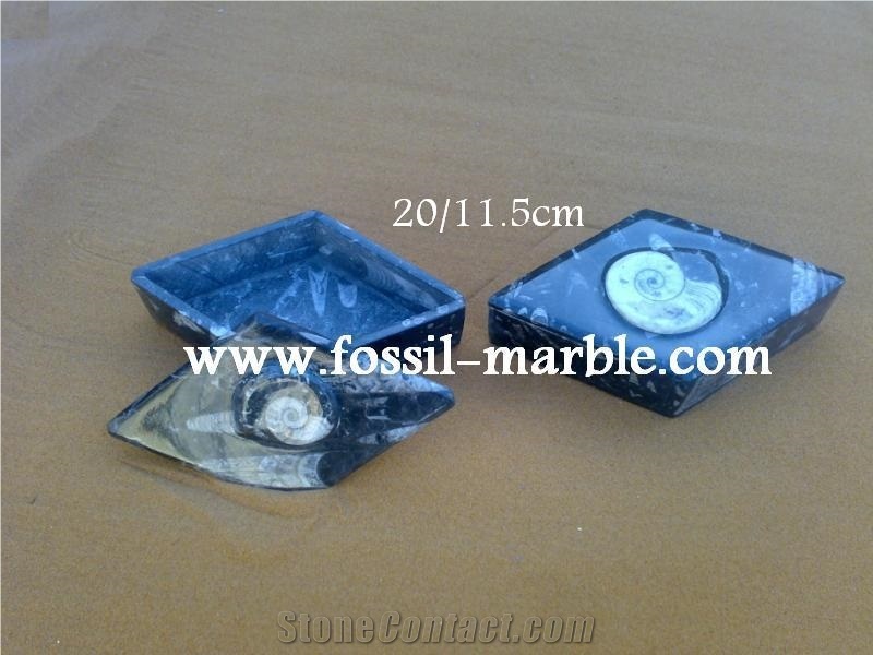 Fossile Black Limestone Decorative Products