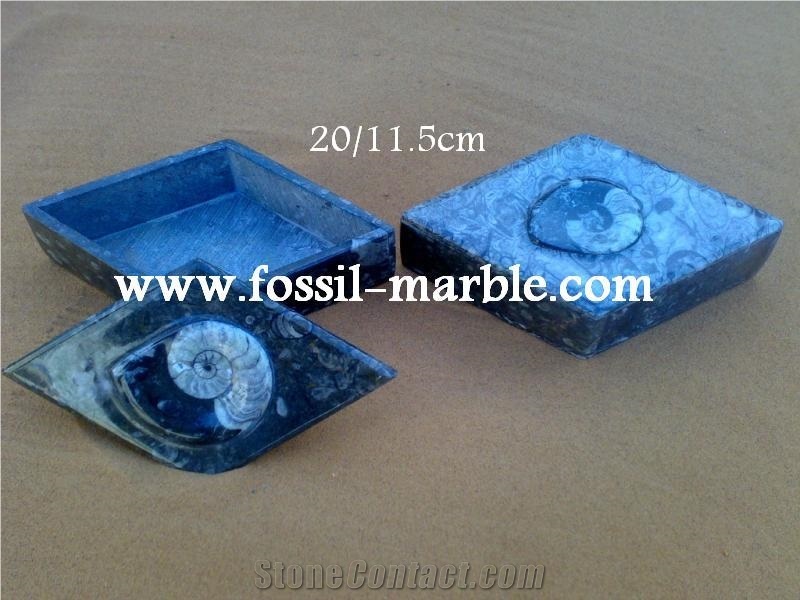 Fossile Black Limestone Decorative Products