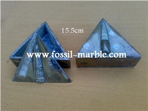 Fossile Brown Jewellery Boxes, Fossilized Stone Brown Marble Artifacts, Handcrafts