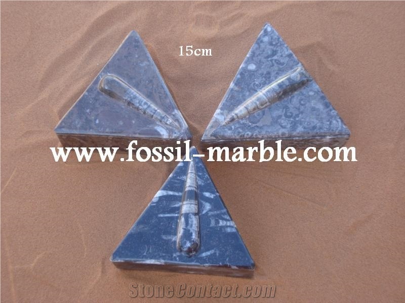 Moroccan Fossile Black Boxes, Fossilized Stone Black Marble Home Decor
