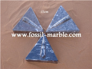 Moroccan Fossile Black Boxes, Fossilized Stone Black Marble Home Decor