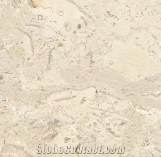 Filetto Hassana Limestone Tile, Egypt Beige Limestone