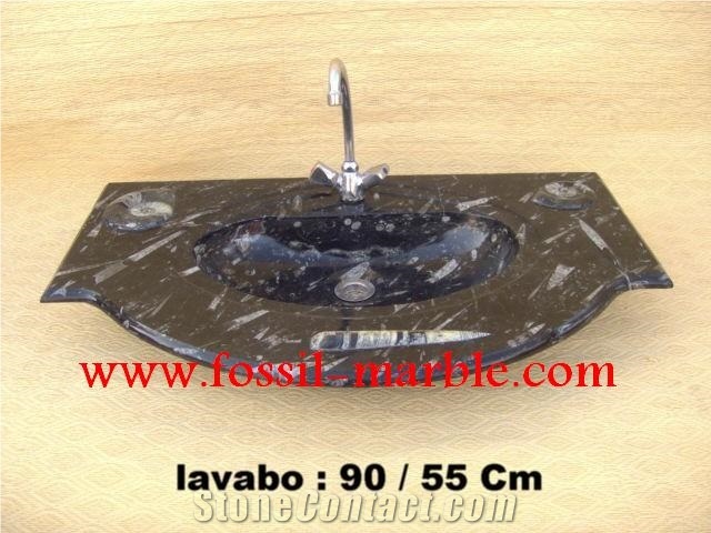 Fossil Black Limestone Sink&Basin, Fossil Limestone Black Marble