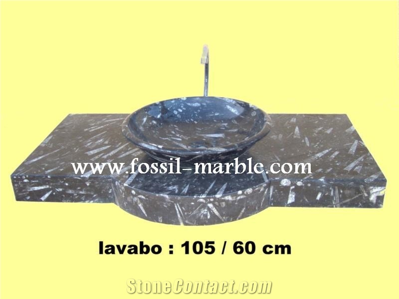 Fossil Black Limestone Sink&Basin, Fossil Limestone Black Marble