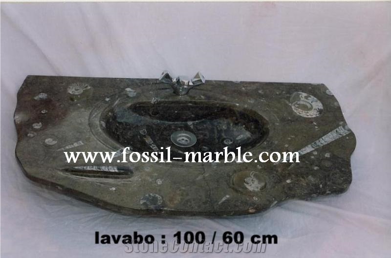 Fossil Black Limestone Sink&Basin, Fossil Limestone Black Marble
