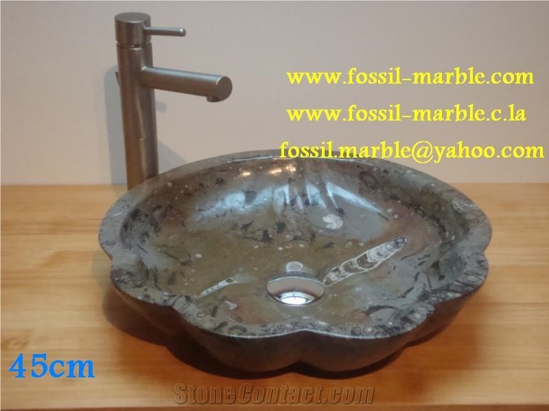 Fossil Brown Limestone Basin