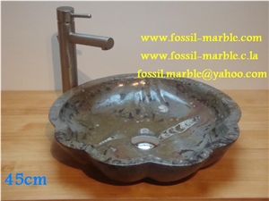 Fossil Brown Limestone Basin