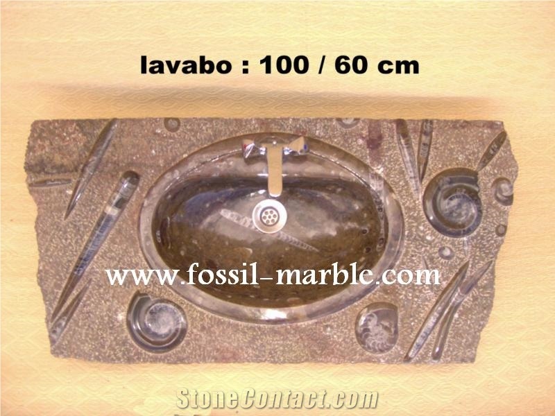 Fossil Brown Limestone Basin