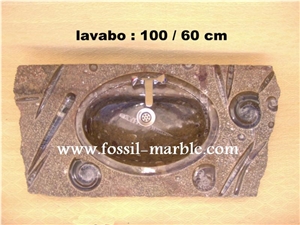 Fossil Brown Limestone Basin