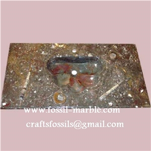 Fossil Brown Limestone Basin