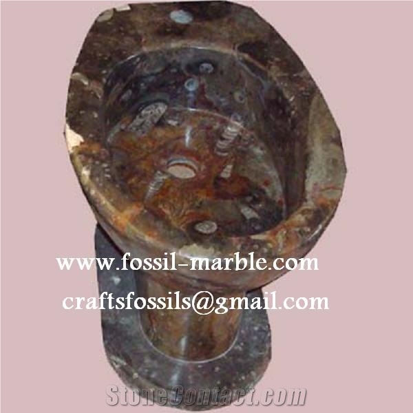 Fossil Brown Limestone Basin