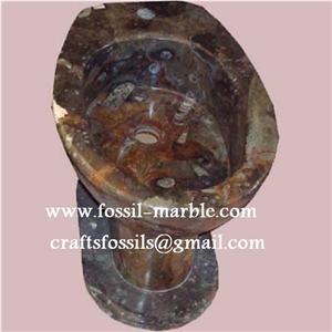 Fossil Brown Limestone Basin