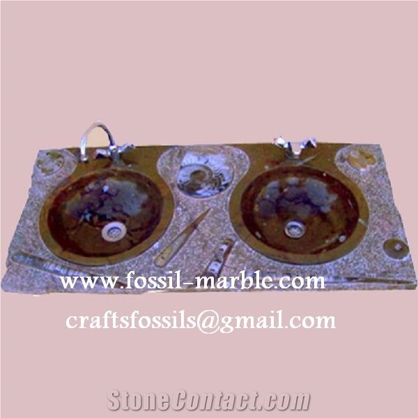 Fossil Brown Limestone Basin