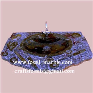 Fossil Brown Limestone Basin, Fossil Limestone Brown Marble