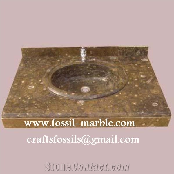 Fossil Brown Limestone Double Basins