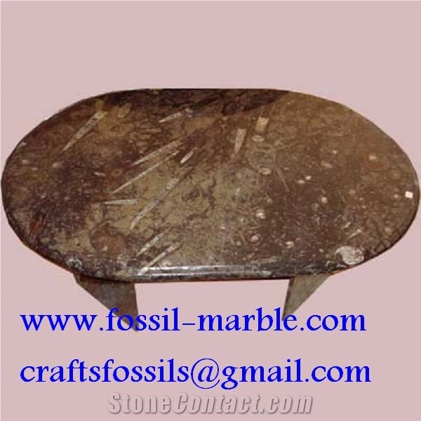 Fossil Brown Limestone Table