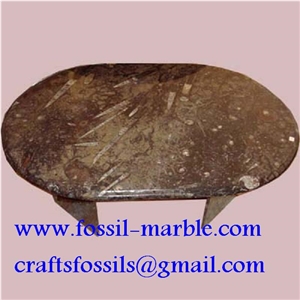 Fossil Brown Limestone Table