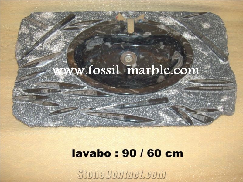 Fossile Etrusco Liemstone Sinks, Wash Basins, Brown Marble