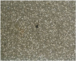 Trachite Zovonite Grigia Antiacida,Trachite Euganei Trachyte Tiles