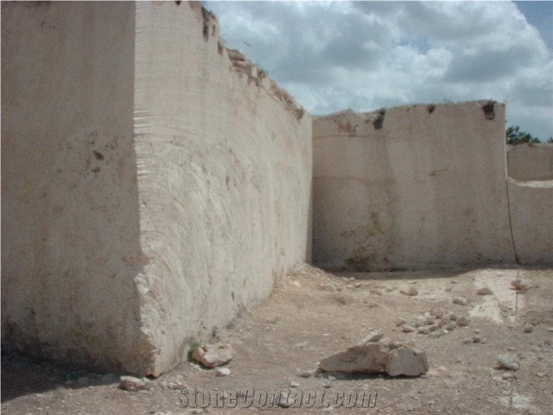 Coralina Limestone Blocks